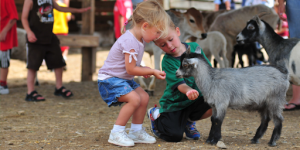 Pros and Cons of Petting Zoos