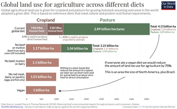 How Does Your Diet Impact the Environment?