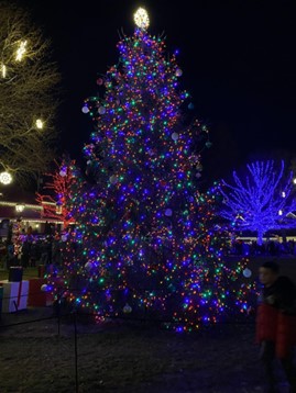 A Christmas tree in the center of Peddler’s Village during the holiday season