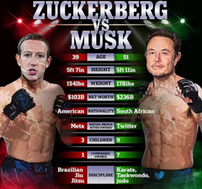 This image is a fight preview breaking down both Mark Zuckerberg and Elon Musk
