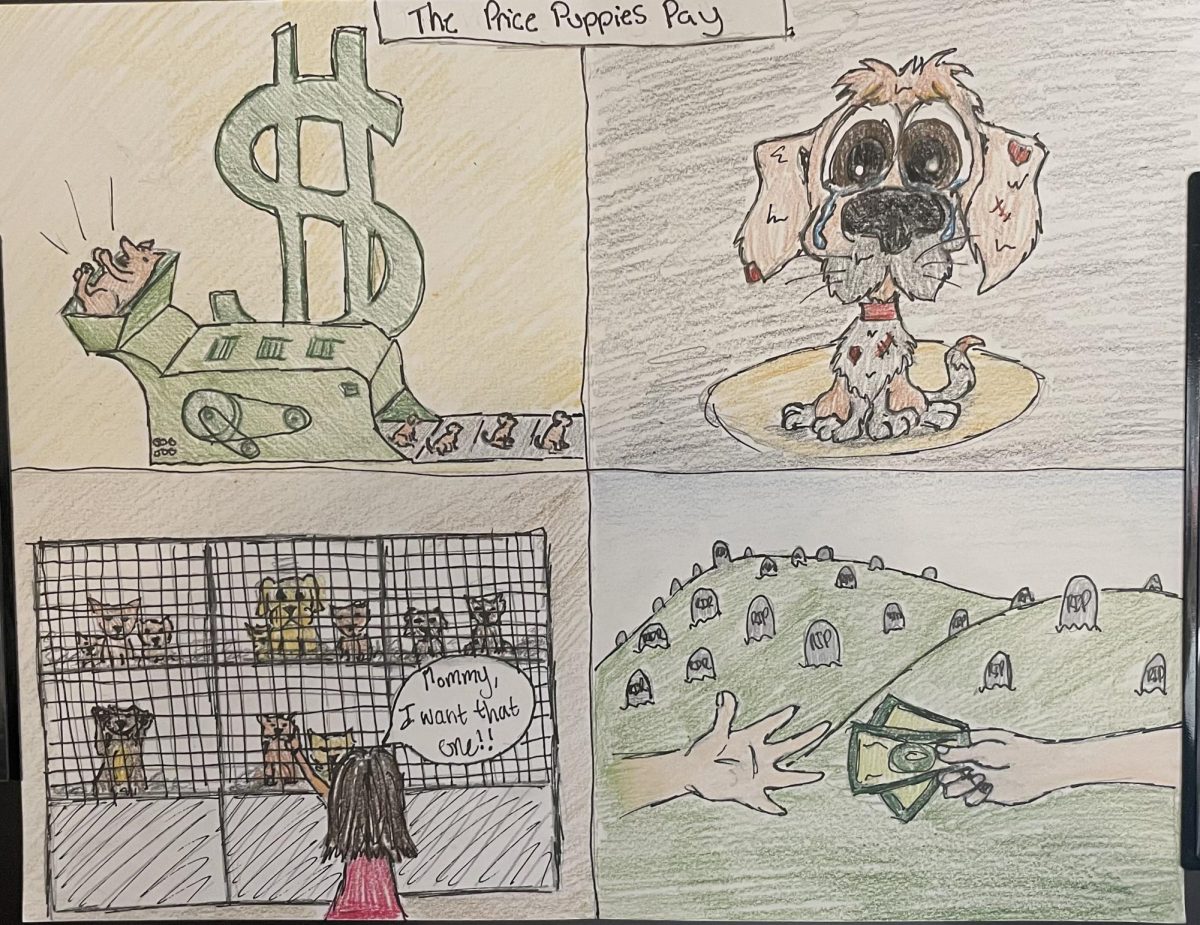 The Price Puppies Pay