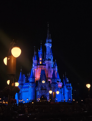 Cinderellas Castle at night
