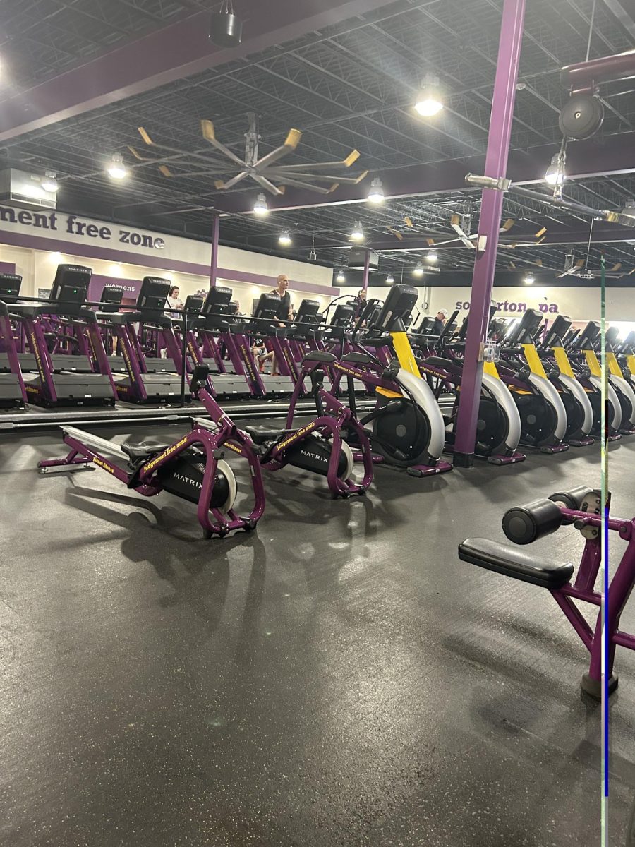 Some of the current gym equipment at Planet Fitness.