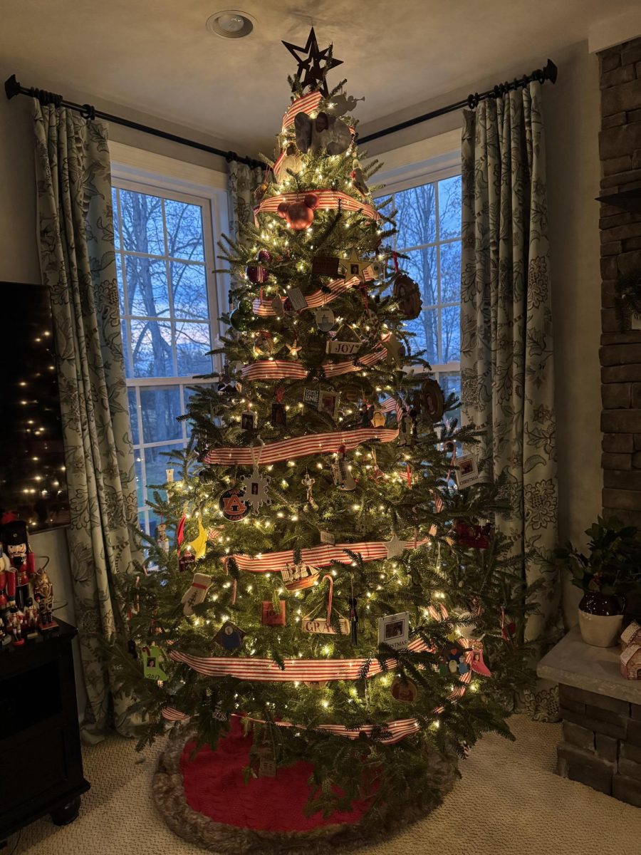 The Molyneux's Family Christmas tree- featuring white lights