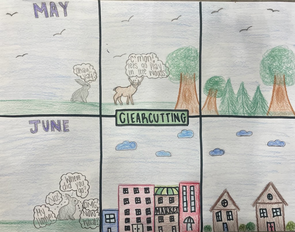 Clearcutting