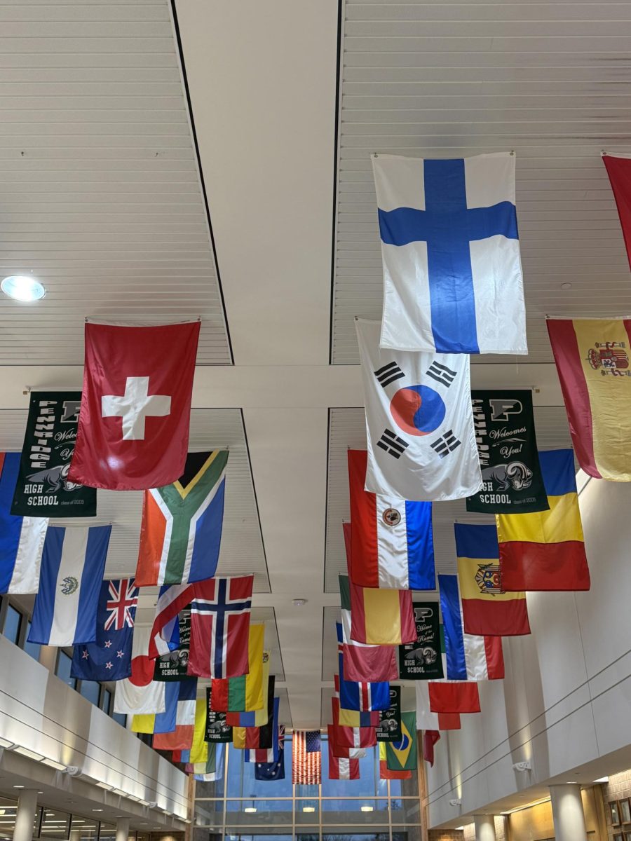 Photo of the Flags of Different Countries at the Main Entrance