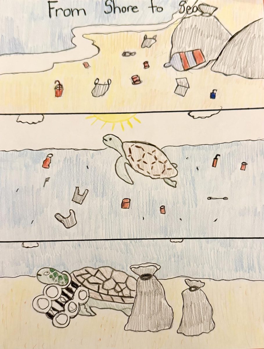 From Shore To Sea