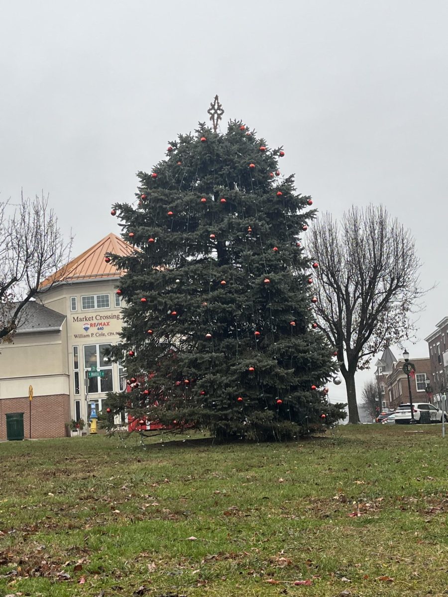 The Perkasie community Christmas tree. 


