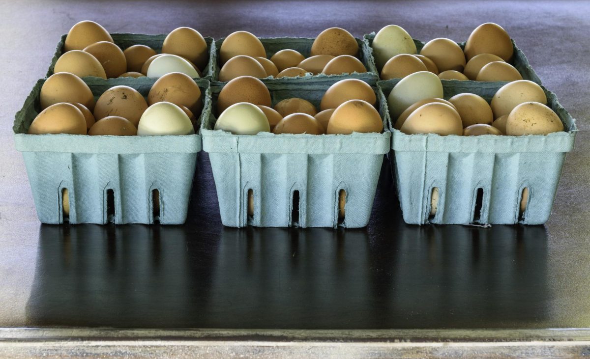 Egg cartons at the farmers market. 