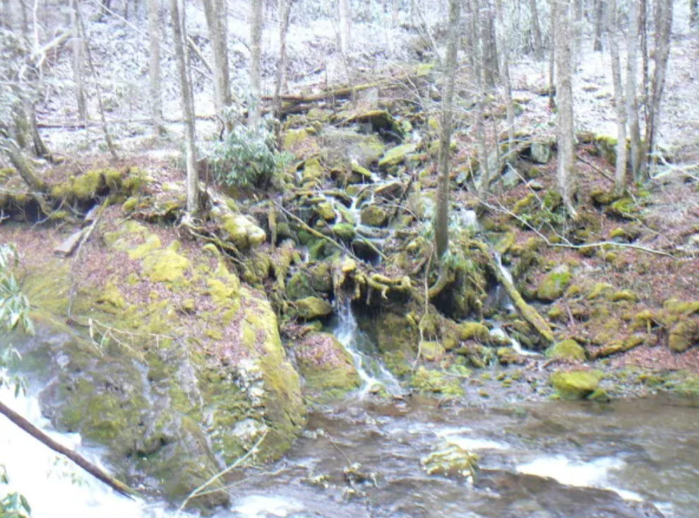 A scenic hiking view