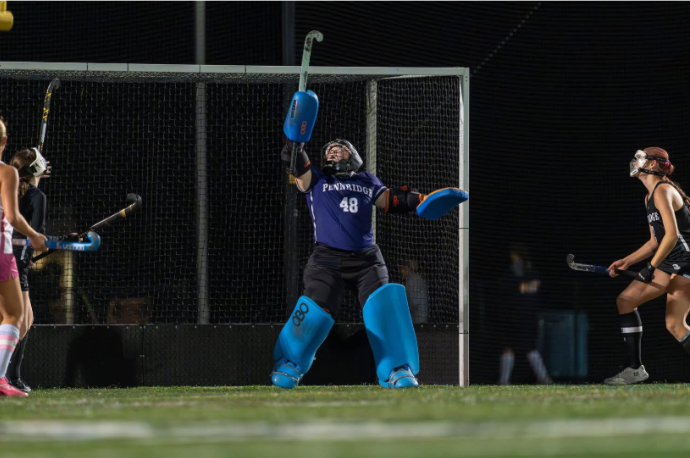 Gozzard in the net